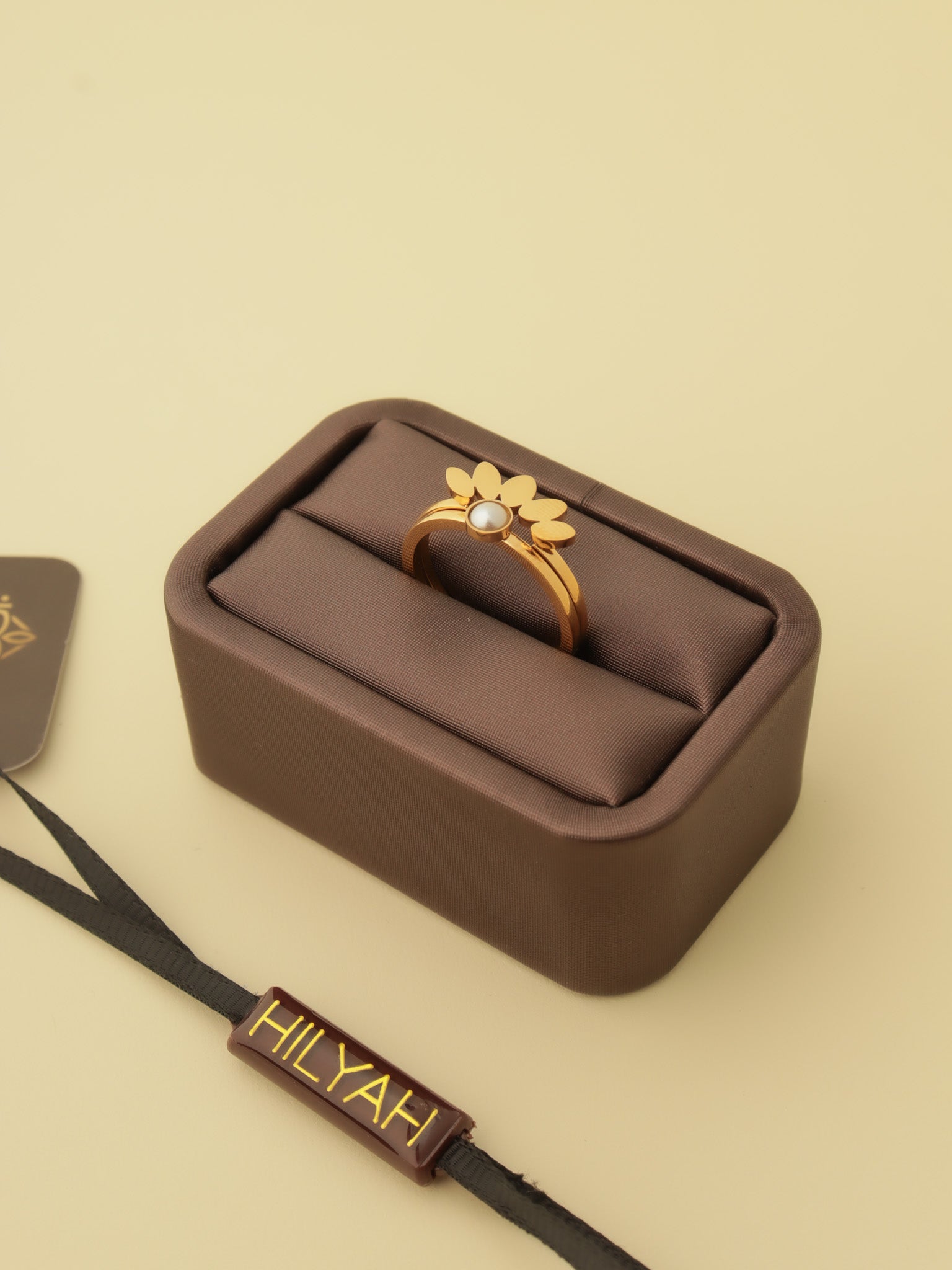 Morning Sunshine