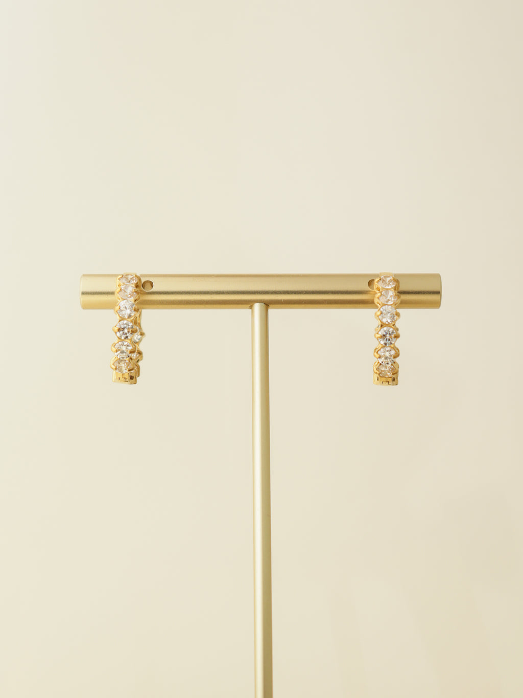 Luxe Hoop Earrings