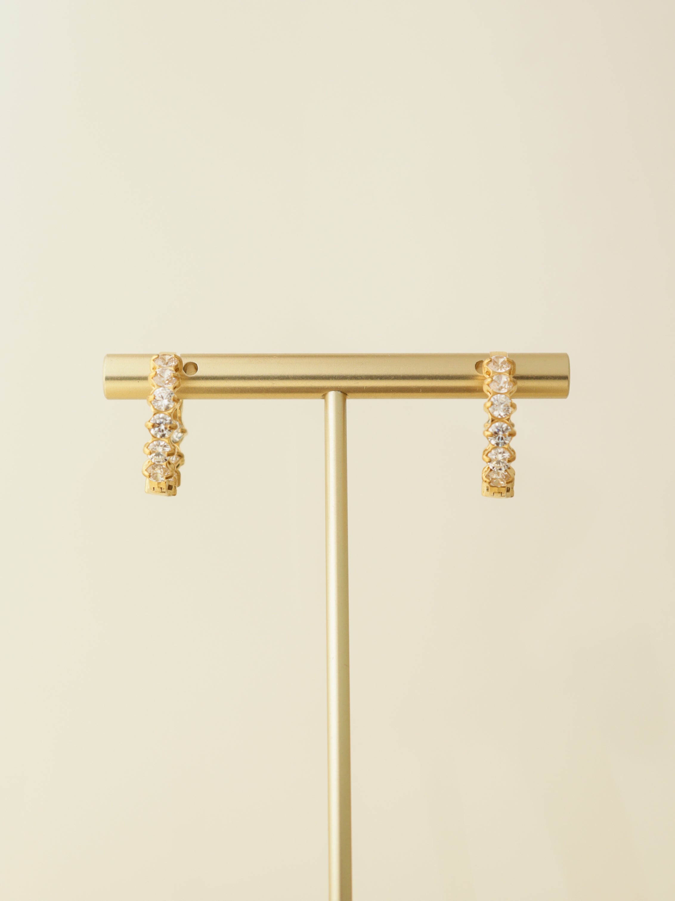 Luxe Hoop Earrings